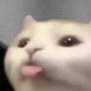 😛 emoji ㅤ ㅤ Telegram sticker 24 of 42