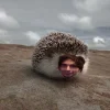 🤩 emoji чечечеч @TgEmodziBot Telegram sticker 20 of 85