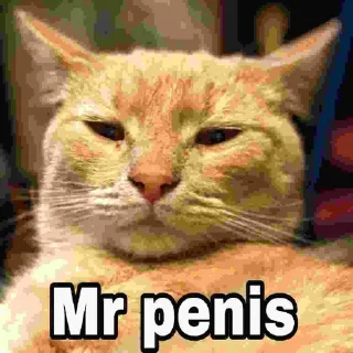 🌚 emoji Mr penis Telegram sticker 17 of 21