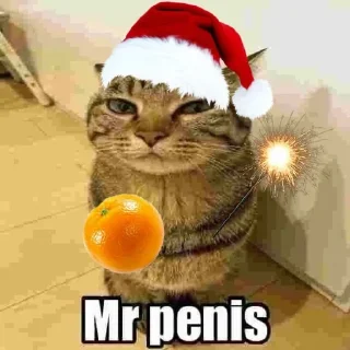 😍 emoji only mr penis @SkufStickers Telegram sticker 24 of 25