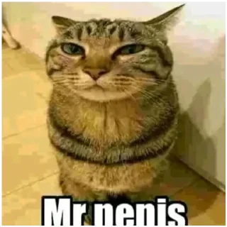 😈 emoji Mr. Penis Telegram sticker 22 of 30