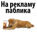 Sticker from Sign up @stickersb2b