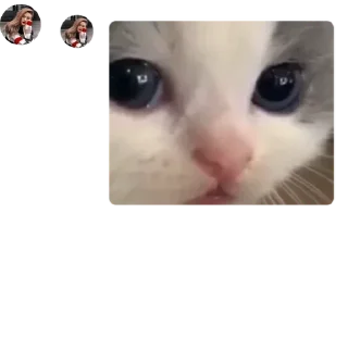 🧷 emoji Троица pack by @QuotLyBot Telegram sticker 8 of 11