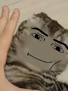 😎 emoji Фигня Telegram sticker 7 of 22