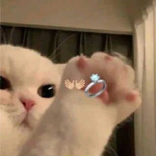 👐 emoji case of life Telegram sticker 6 of 41