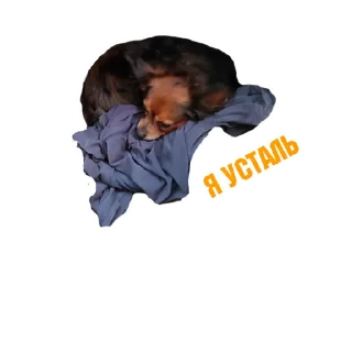 😞 emoji Eugene&Miki Telegram sticker 18 of 33
