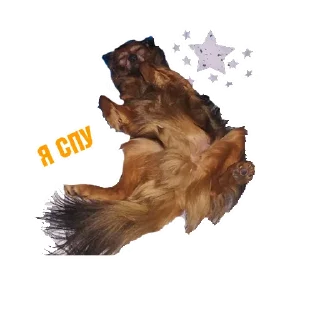 😴 emoji Eugene&Miki Telegram sticker 19 of 33