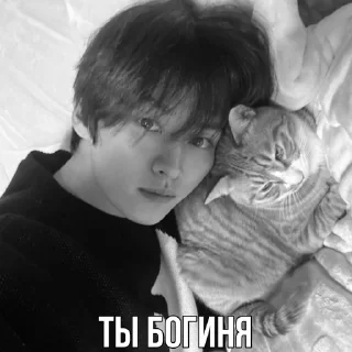 🐾 emoji ho @hyunjinoke Telegram sticker 19 of 26