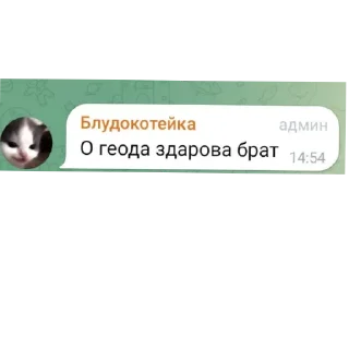 🐱 emoji Киберы - жёсткие фразы Telegram sticker 13 of 120