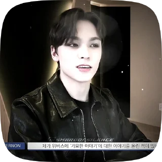 Sticker from vernon // @shardofsilence