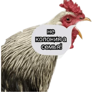 😏 emoji Жёсткие насекомые Telegram sticker 6 of 30