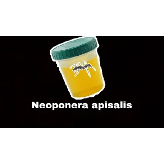 😏 emoji Жёсткие насекомые Telegram sticker 19 of 30