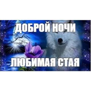 🌙 emoji лучший стикерпак Telegram sticker 12 of 12