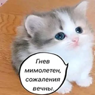😉 emoji Два кольори Telegram sticker 18 of 50