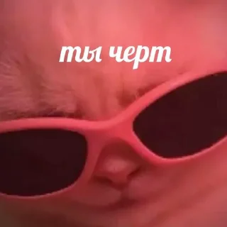 Sticker from ЧиСтО ПРиКоЛы