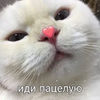 😘 emoji twitch.tv/TiffanyNN Telegram sticker 12 of 24