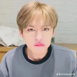 🫤 emoji Lee Know Telegram sticker 8 of 35