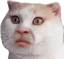 ☹️ emoji Твои стикеры — @stckrRobot Telegram sticker 11 of 89