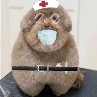 Sticker from Ипучие | via sticked.app