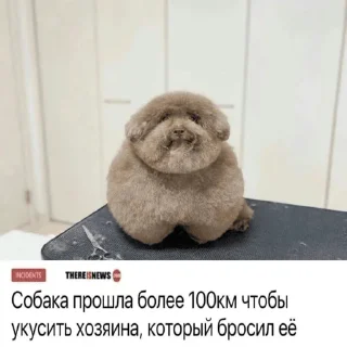 Sticker from Ипучие