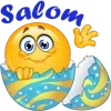 ✋ emoji смайлики by @tgpremstikerss @TgEmodziBot Telegram sticker 2 of 119