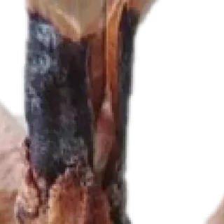 ✨ emoji Больше стиков тут: @stikery4 Telegram sticker 8 of 43
