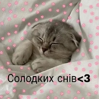 😴 emoji Садок вишневий Telegram sticker 23 of 80