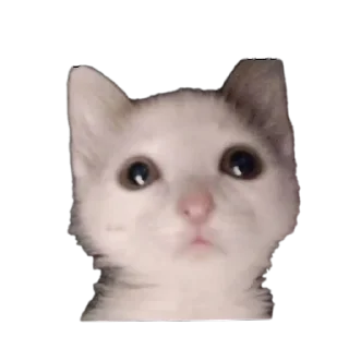 Sticker from Ух ля