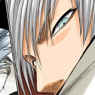 Sticker from Ichimaru Gin
@oneday_19days