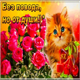 😸 emoji Анонимный чат: @anonimnyi_chatbot 💓 Telegram sticker 18 of 50