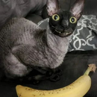 🍌 emoji pixel Telegram sticker 8 of 56