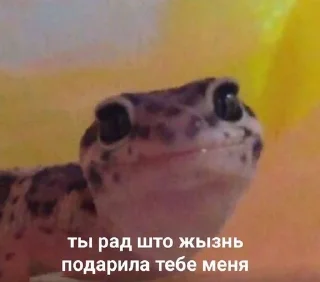 Sticker from идеальная подборочка