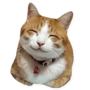 ☺️ emoji Уебай! Telegram sticker 1 of 118
