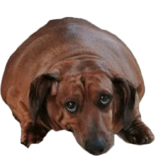 😢 emoji Больше стиков тут: @stikery4 Telegram sticker 22 of 27