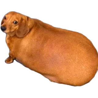 😢 emoji Больше стиков тут: @stikery4 Telegram sticker 16 of 27