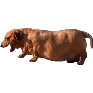 😢 emoji Больше стиков тут: @stikery4 Telegram sticker 12 of 27