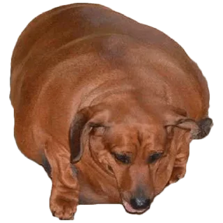 😢 emoji Больше стиков тут: @stikery4 Telegram sticker 14 of 27
