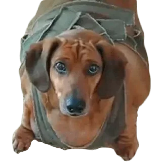 😢 emoji Больше стиков тут: @stikery4 Telegram sticker 10 of 27
