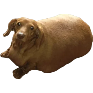 😢 emoji Больше стиков тут: @stikery4 Telegram sticker 20 of 27