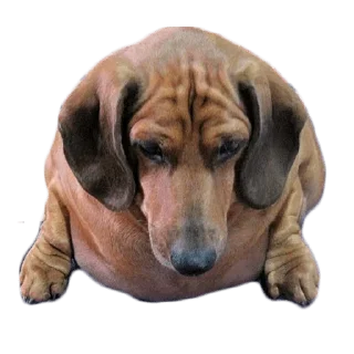 😢 emoji Больше стиков тут: @stikery4 Telegram sticker 8 of 27