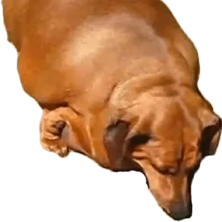 😢 emoji Больше стиков тут: @stikery4 Telegram sticker 6 of 27