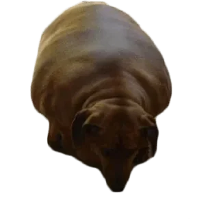 😢 emoji Больше стиков тут: @stikery4 Telegram sticker 7 of 27