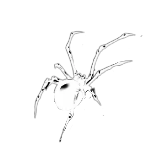 🕷 emoji 𝔂𝔁𝓴𝓪𝓲𝓮𝓮𝓻𝓵𝔂 ➡️ @Ctikerubot Telegram sticker 6 of 38