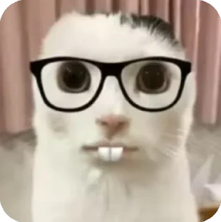 🤓 emoji Пельмешки ам ам ам @StickersPackRobot Telegram sticker 17 of 102