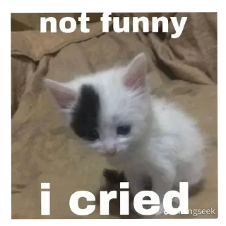 🐱 emoji атлант Telegram sticker 15 of 34