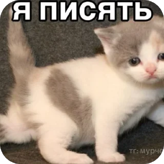 ❤ emoji 😈Омежки. Telegram sticker 15 of 16