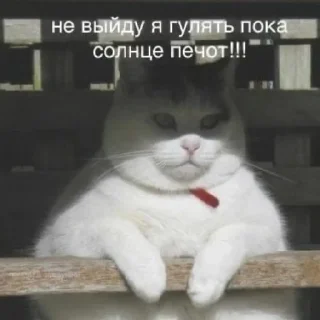 😄 emoji Китики Telegram sticker 5 of 20