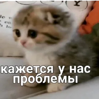 😳 emoji Китики Telegram sticker 19 of 20