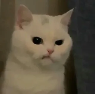 😠 emoji Китики Telegram sticker 20 of 27