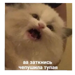 😇 emoji Китики Telegram sticker 14 of 20
